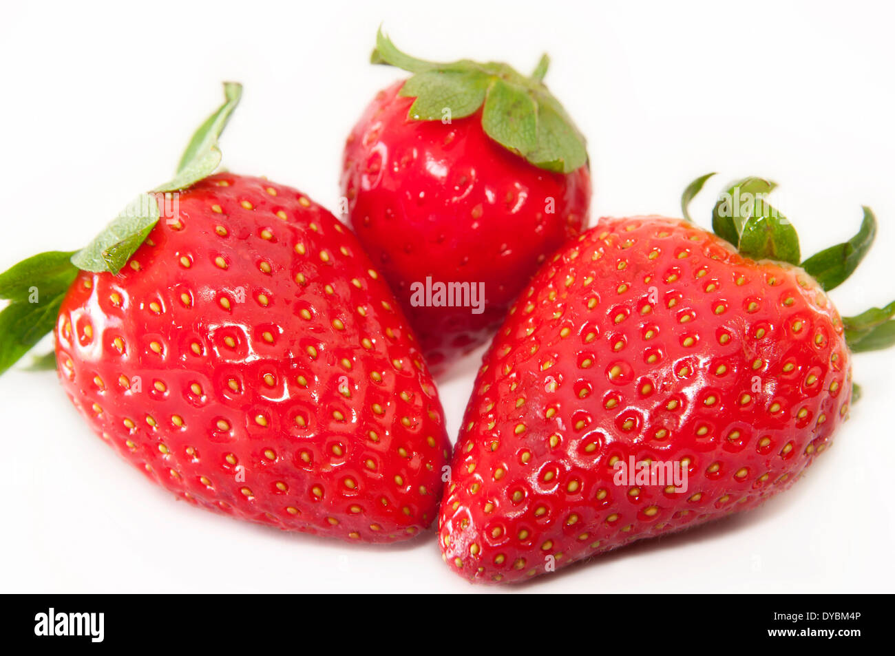 Erdbeeren Stockfoto