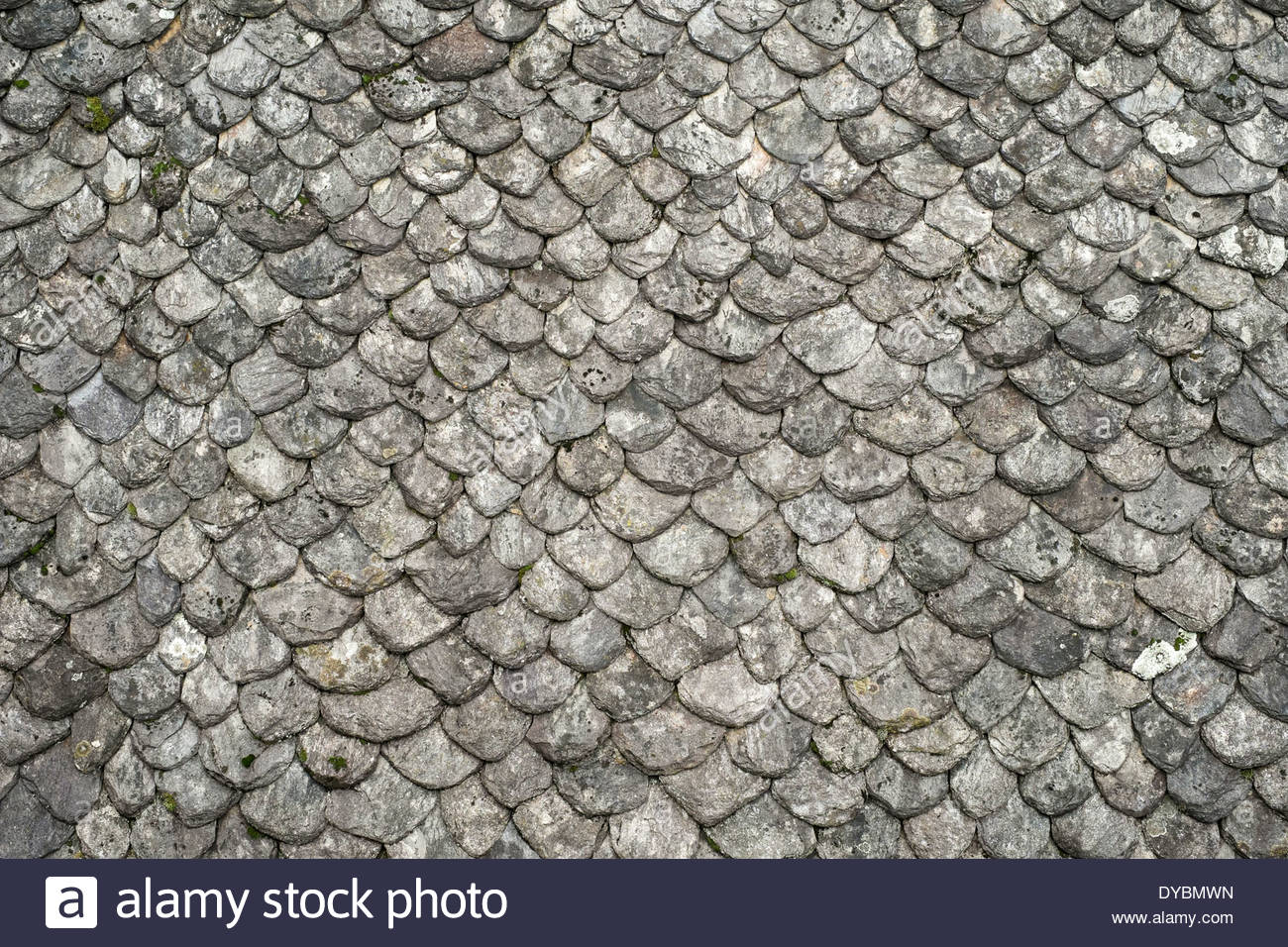 Gray Shingles Stockfotos & Gray Shingles Bilder - Alamy