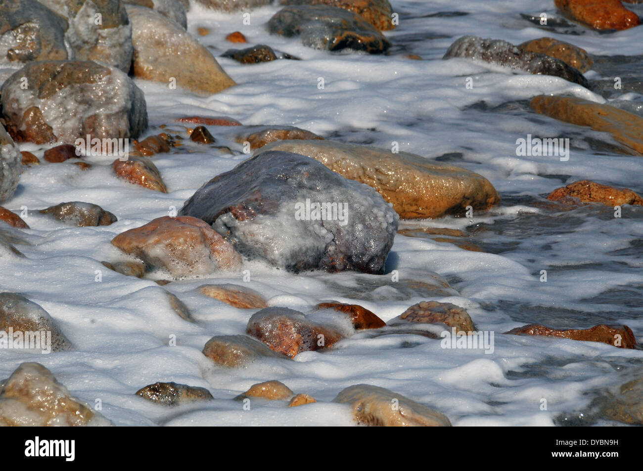 Schaum und Salz hinterlegen, Detail, Totes Meer-Küste, in der Nähe von Ein Gedi, Israel Stockfoto