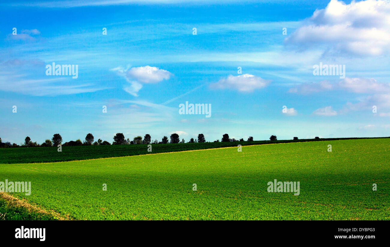 Windows XP kopieren Szene blauer Himmel flauschige weiße Wolken Grün Feld Land Stockfoto