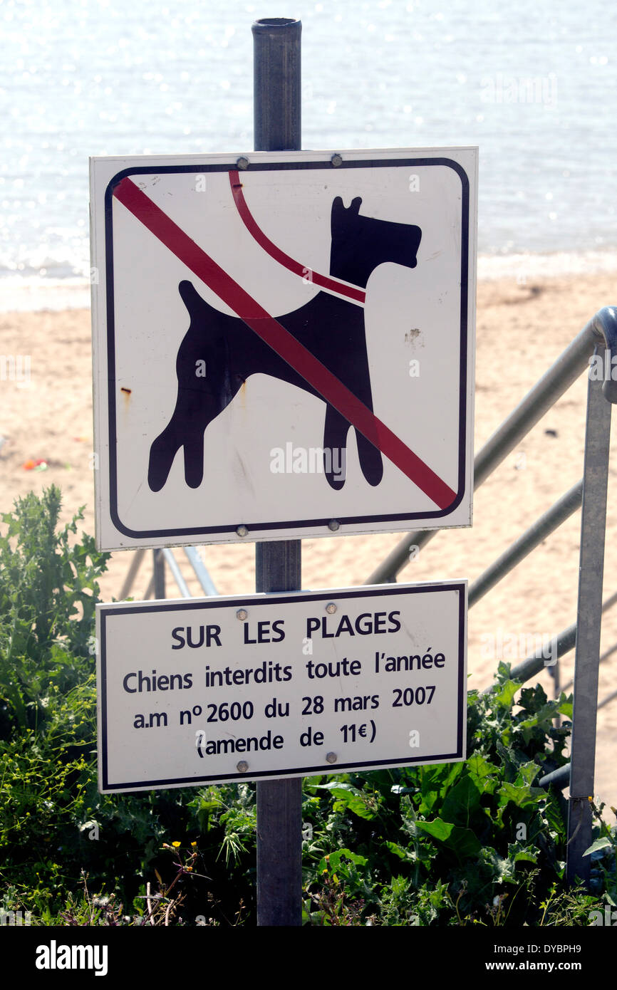 Melden Sie keine Hunde am Strand französischen Plages Chiens Hund Stockfoto