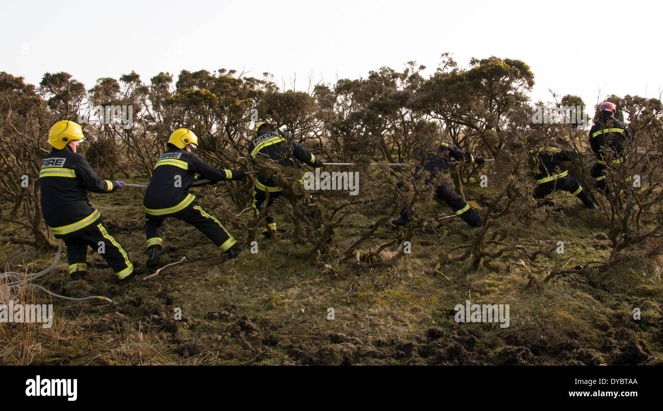 Dartmoor rettung Fotos und Bildmaterial in hoher Auflösung Alamy