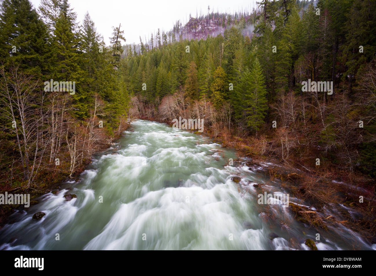 Antenne oder hohen Winkel Aussichtspunkt Landschaft Foto des Willamette River in Oregon. Stockfoto