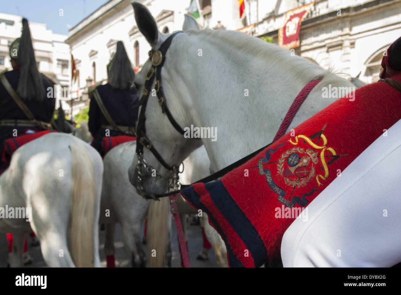 Sevilla, Spanien. 13. April 2014. Geschwader der Cavarly der Bruderschaft namens '' La Paz'' während der Parade zur Kathedrale am Sonntag der Palmen, genannt Tag Domingo de Ramos in spanischer Sprache. Sevilla, Spanien, 13 April, 2014.Photo: Daniel Gonzalez Acuna/NurPhoto Credit: Daniel Gonzalez Acuna/NurPhoto/ZUMAPRESS.com/Alamy Live News Stockfoto