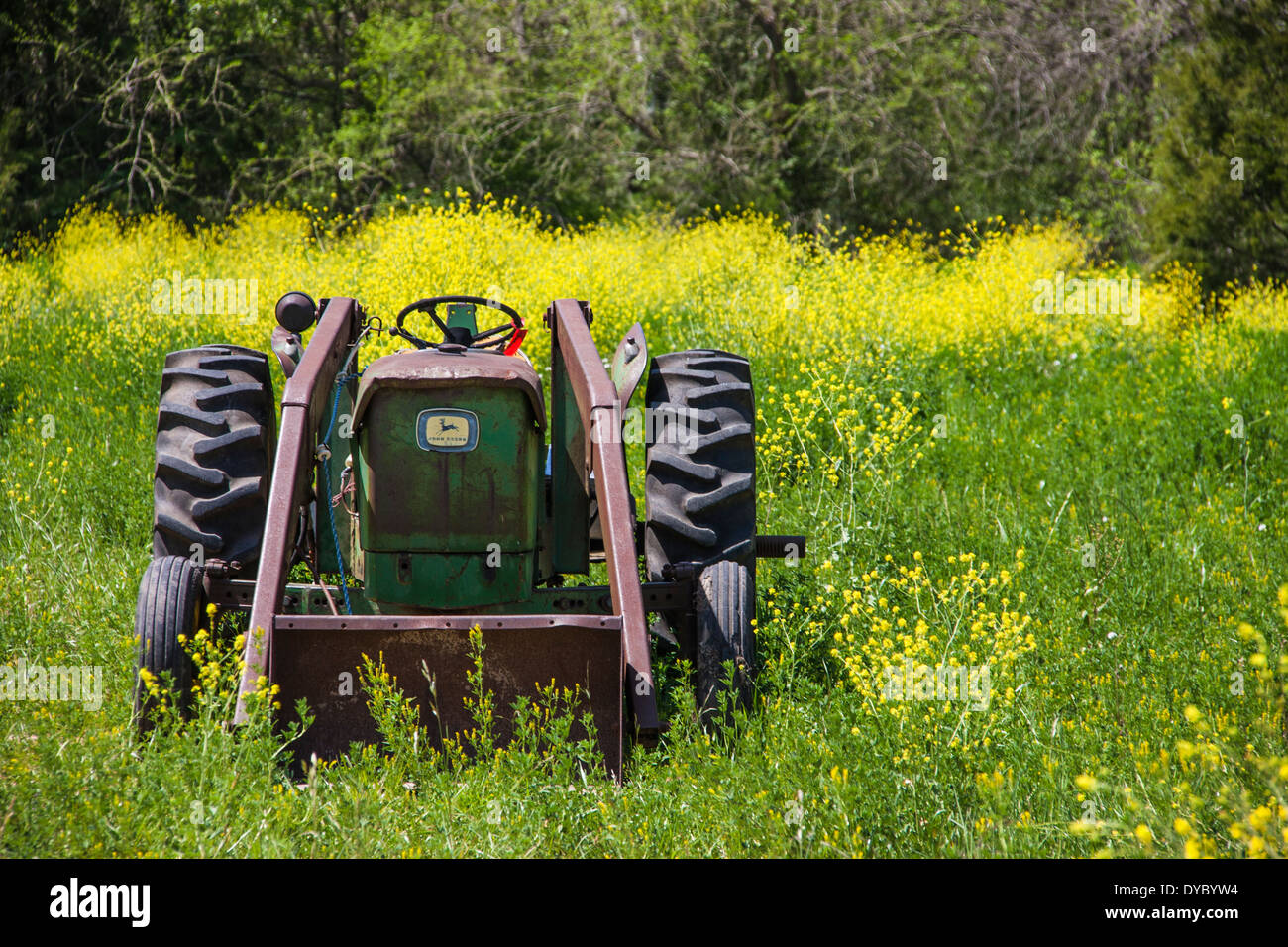 Alten Traktor in einem Feld von gelben Wildblumen entlang Texas Farm-to-Market Straße 1155 in der Nähe von Washington-on-the-Brazos State Park. Stockfoto
