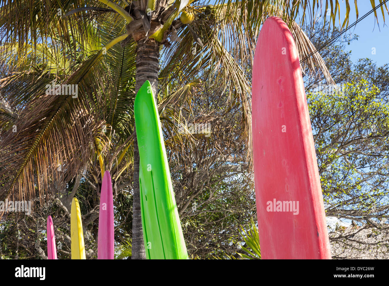 Kajak und Wasser Board Verleih und Palmen, Casey Key, Florida, USA Stockfoto