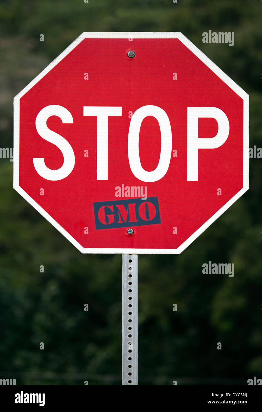 Stop-Schild mit "GVO" hinzugefügt. Stockfoto