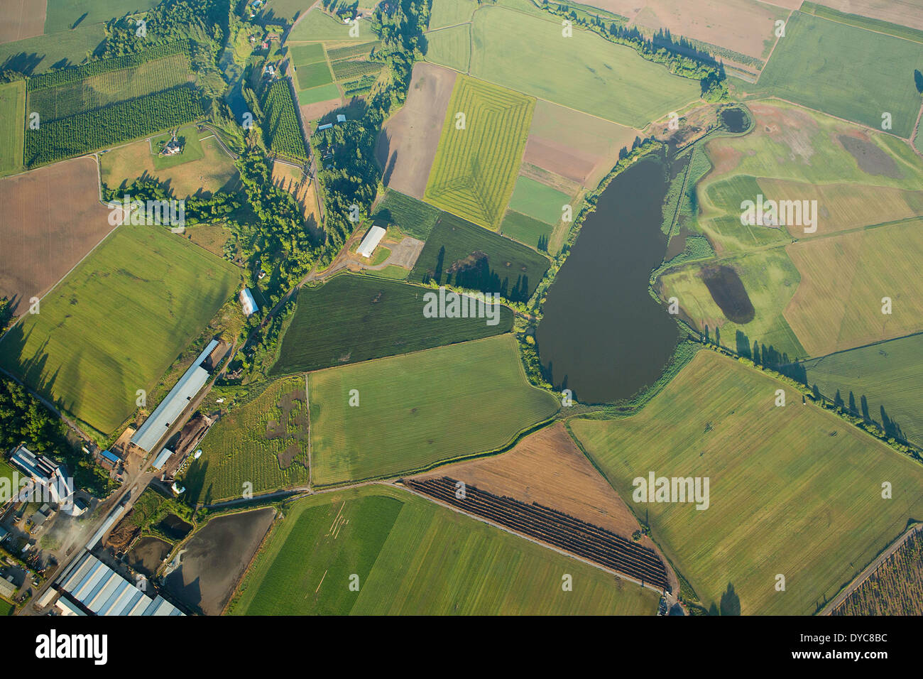 Vogelperspektive des Willamette Valley im Frühjahr. Oregon. USA Stockfoto
