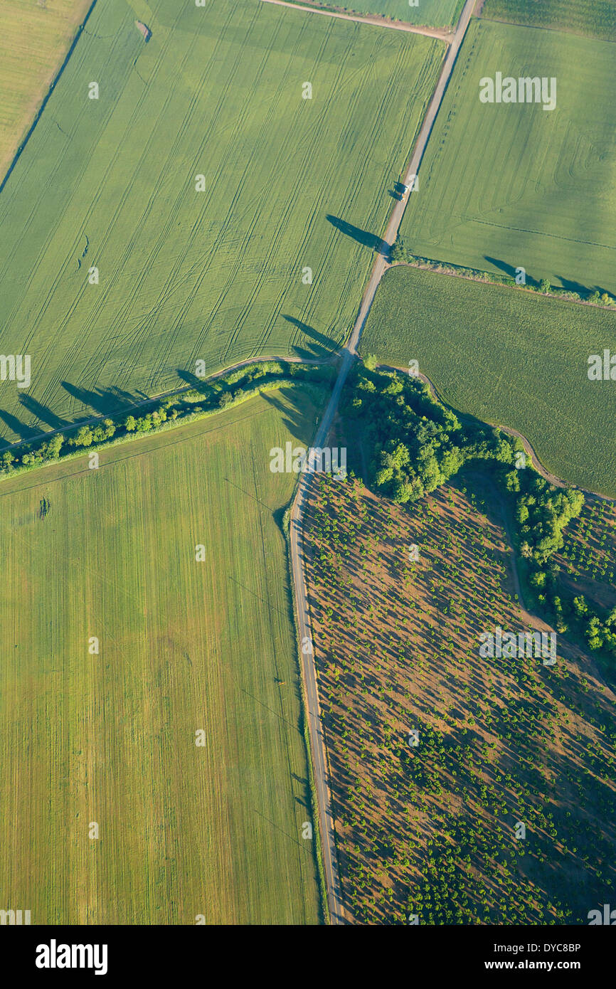 Vogelperspektive des Willamette Valley im Frühjahr. Oregon. USA Stockfoto