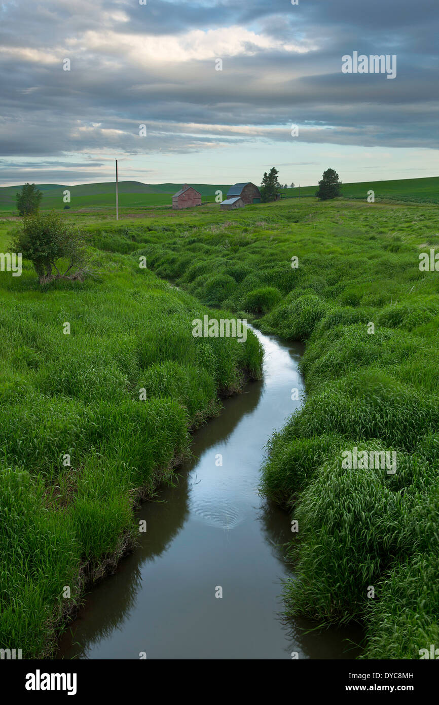 Bach und Scheunen in der Palouse Region von Washington. Frühling. USA Stockfoto