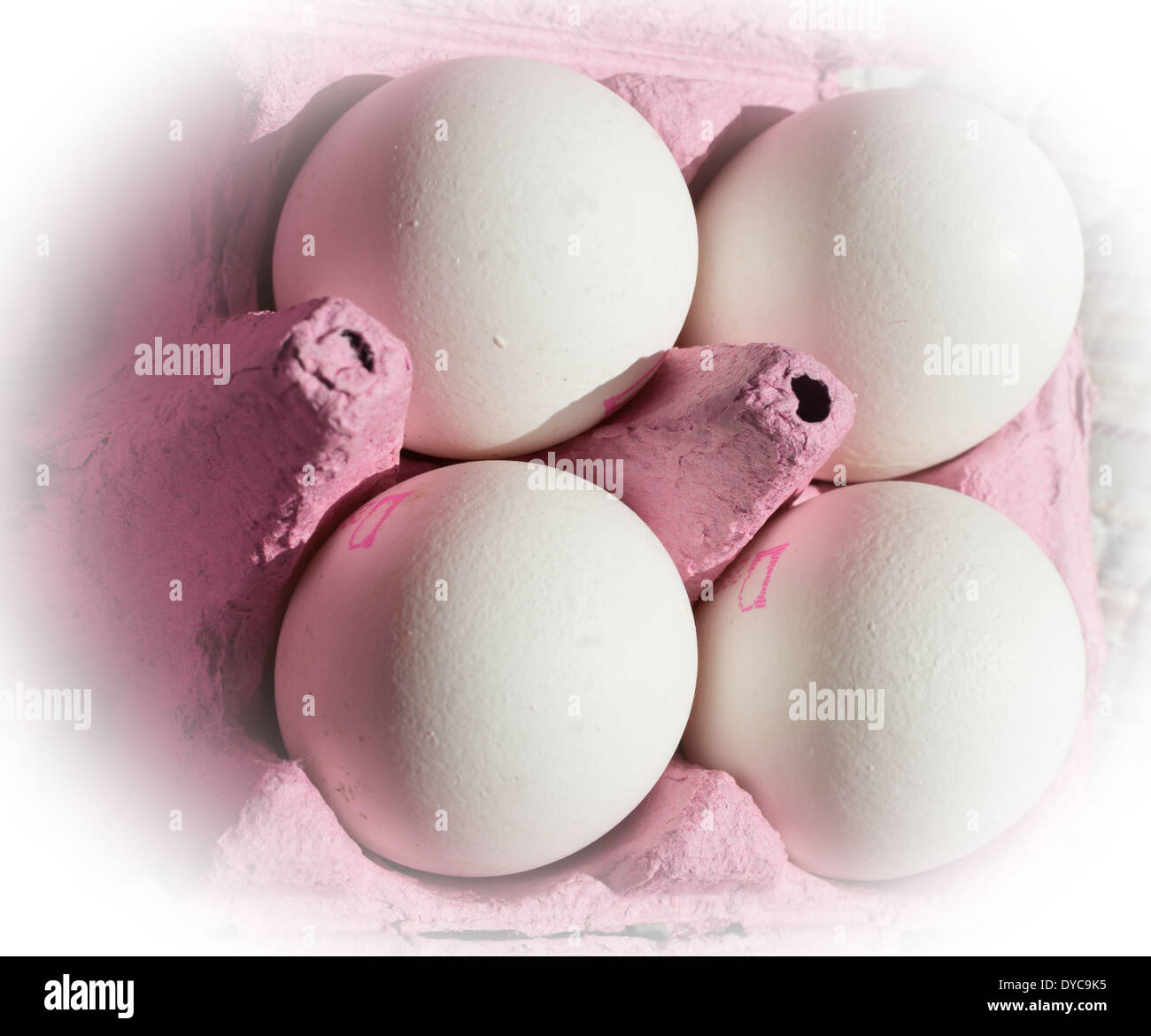 4 weißen Eiern, Stempel sichtbar, in rosa Karton ausblenden in weiß. Stockfoto