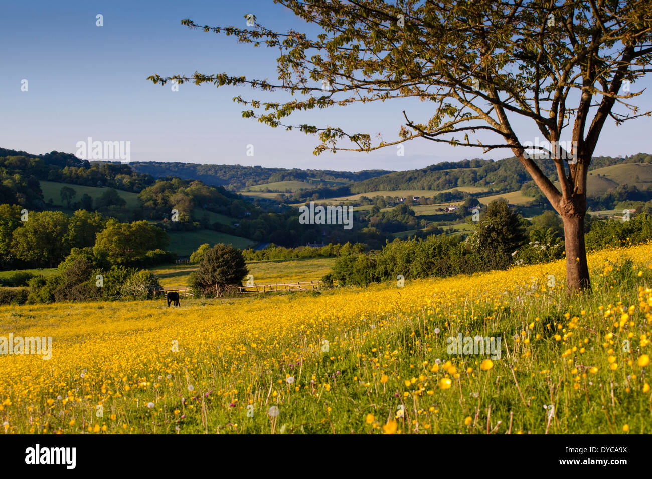 Die Slad Tal, Stroud, Gloucestershire, UK. Standort des Buches "Apfelwein mit Rosie" von Laurie Lee. Stockfoto