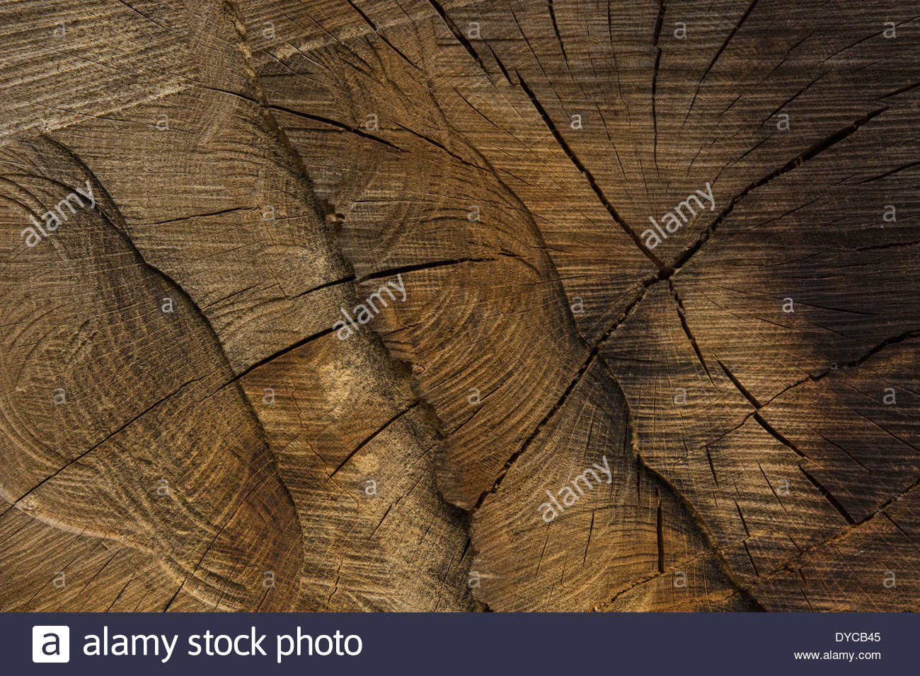 Risse In Holz Stockfotos & Risse In Holz Bilder - Alamy