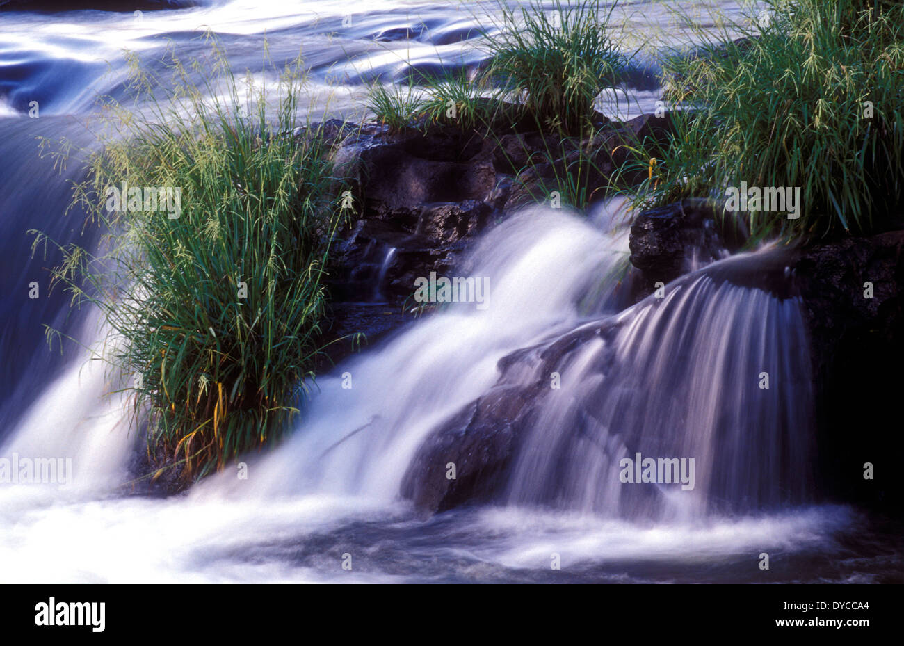 Iguazu Falls National Park, Argentinien Stockfoto