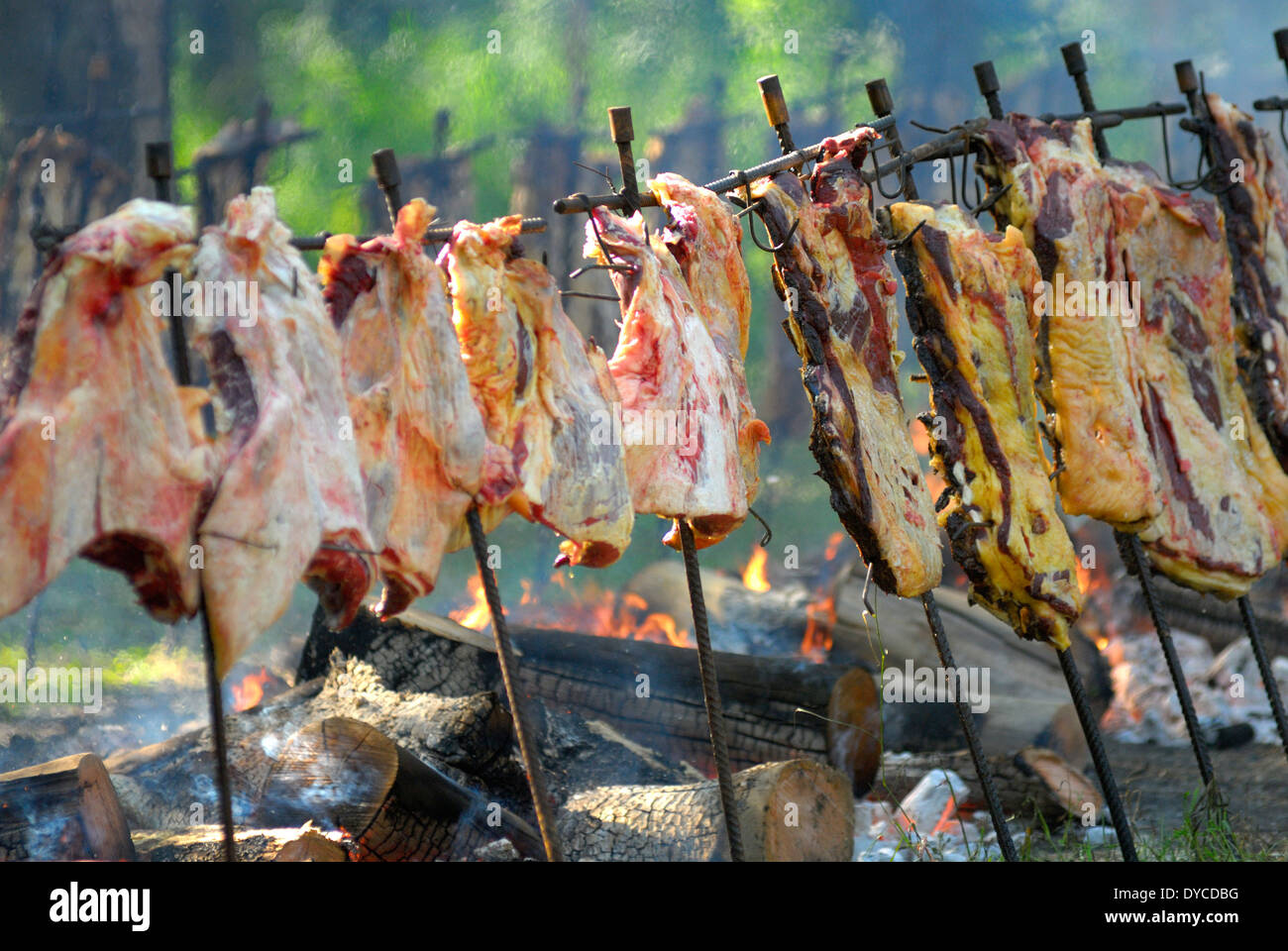 Fiesta De La Tradición, San Antonio de Areco, Provincia de Buenos Aires, Argentinien, Südamerika Stockfoto