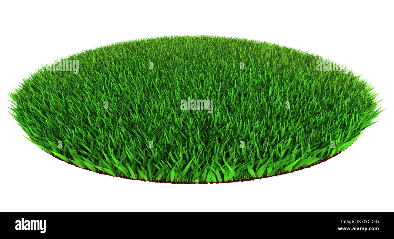 Schönen grünen Rasen Scheibenform auf weißem Hintergrund 3d render.clipping Pfad enthalten Stockfoto
