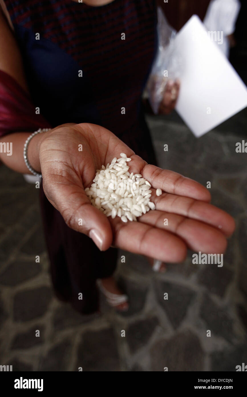 Hände bereit, den Reis, der Braut zu werfen Stockfoto