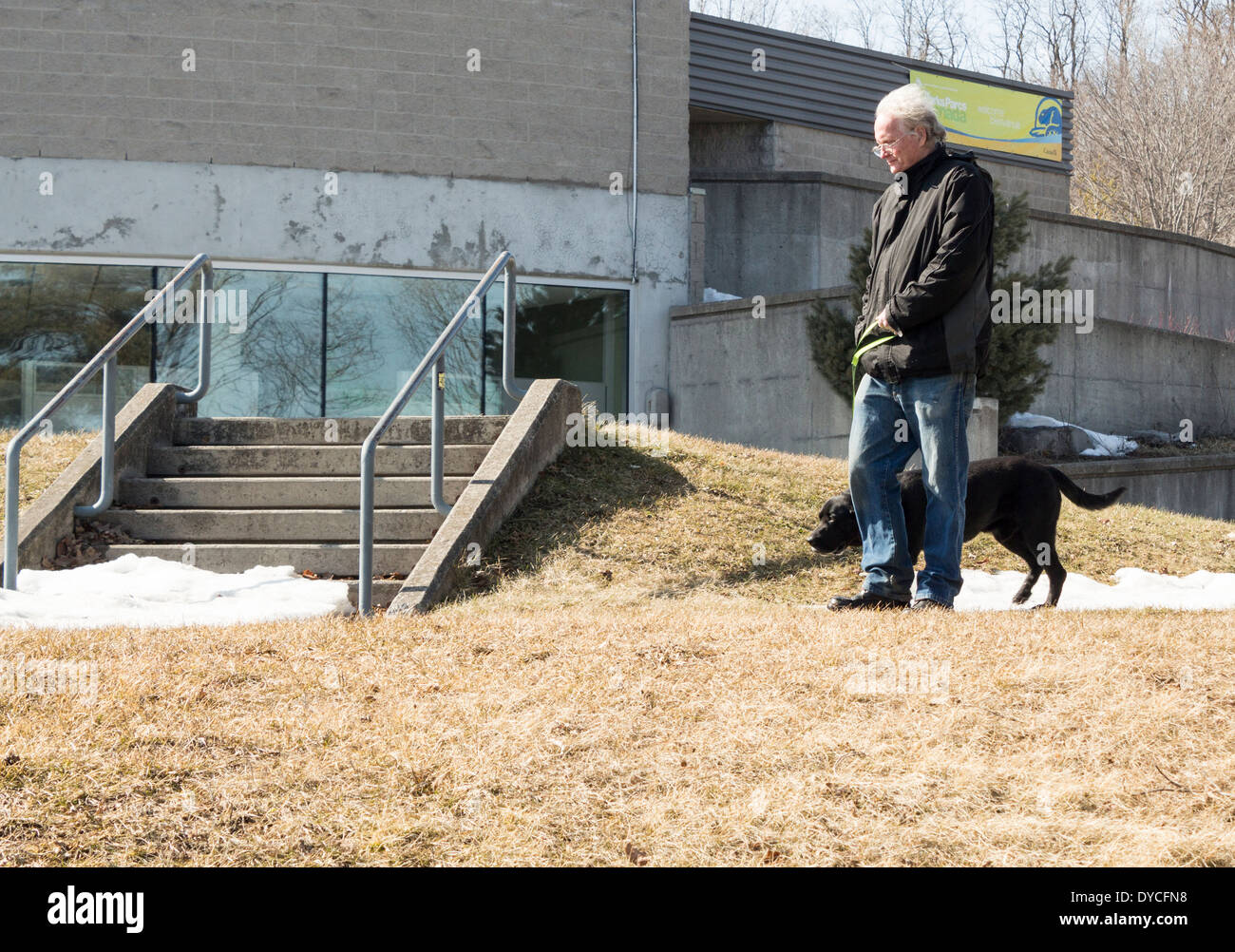 Senioren-Mann zu Fuß seinen Hund am Peterborough Lift Sperren im zeitigen Frühjahr. Stockfoto