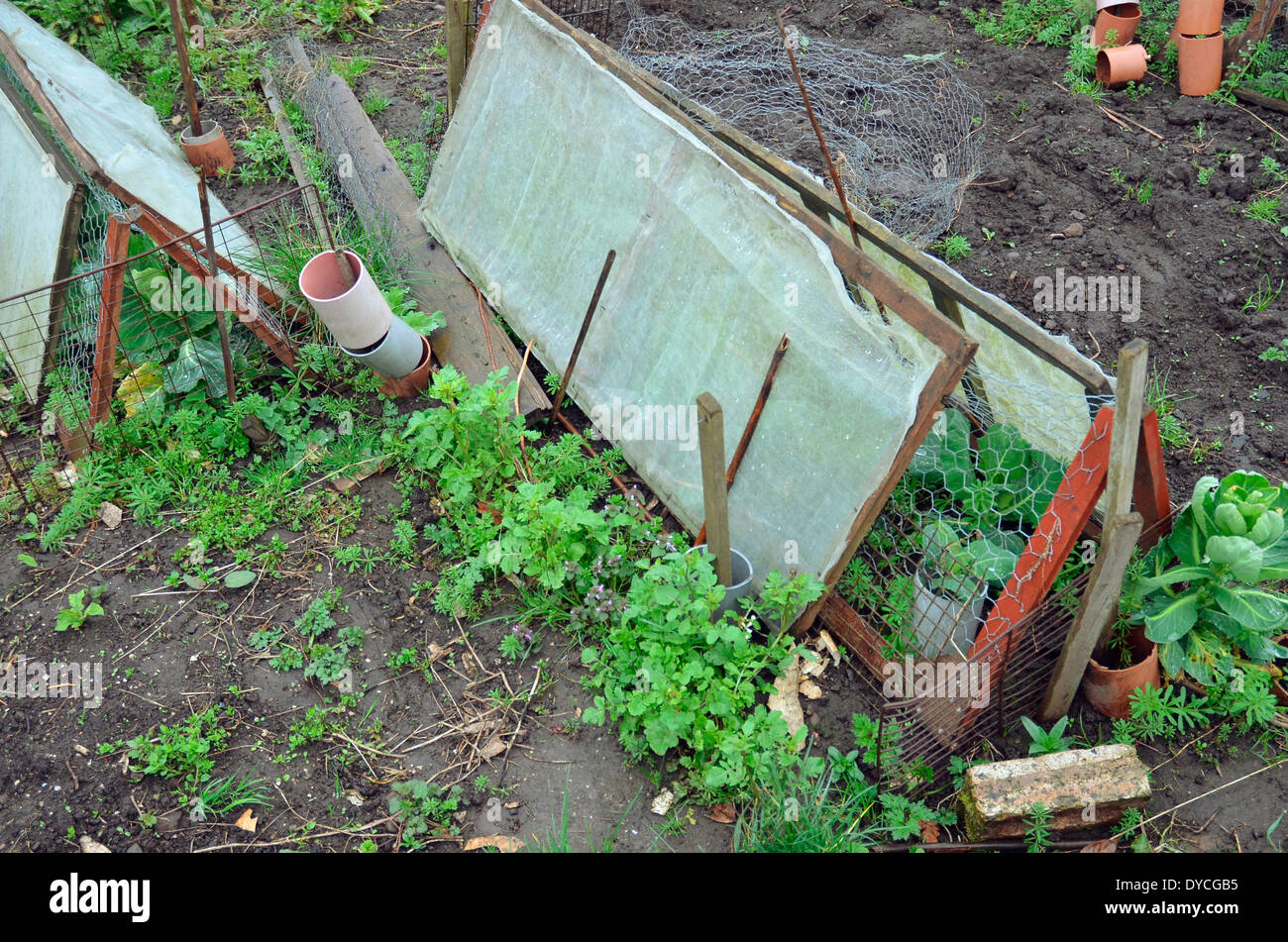 Cloche auf Zuteilung Stockfoto