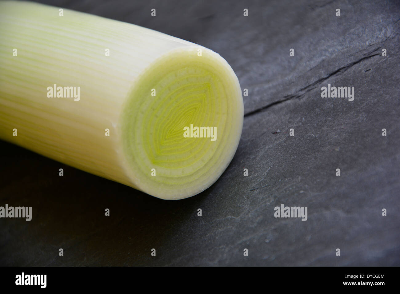 ein frisches grün weißen Lauch Stab auf einer Schiefertafel Platte Makro Nahaufnahme Frische Lauchstange Grün Weiss Auf Grauem Schiefer Hintergrund Stockfoto