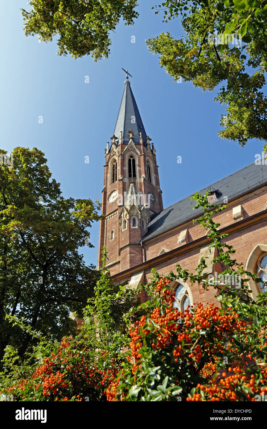 Europa Deutschland Rheinland-Pfalz Neustadt ein der Weinstraße Wein route Neustadt Hetzelstrasse Saint Mary Architektur Bäume, Stockfoto