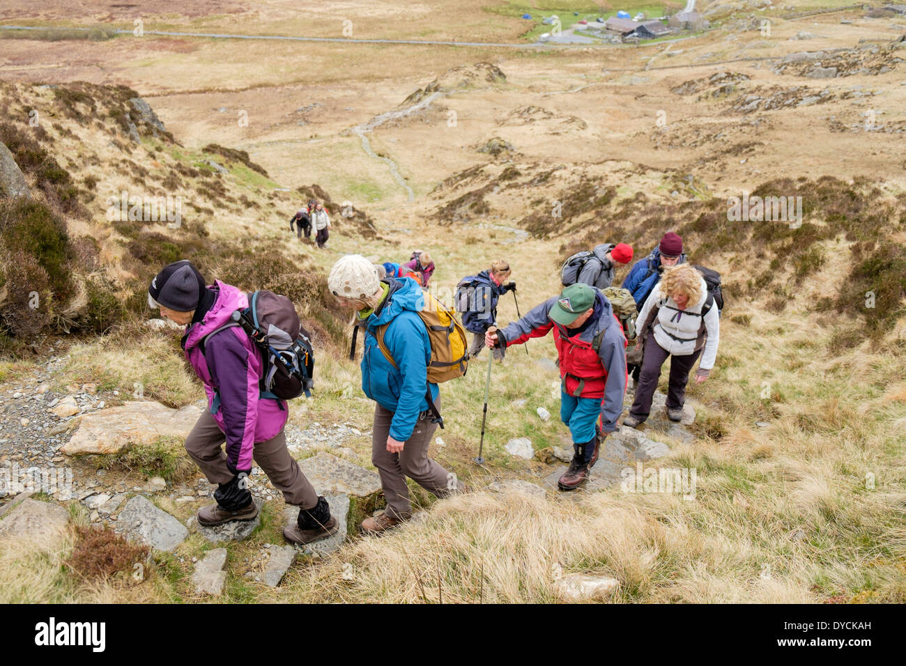 Gruppe der Wanderer zu Fuß in ein Line-up Cwm Tryfan aus Ogwen Valley, Snowdonia-Nationalpark, Conwy, North Wales, UK, Großbritannien Stockfoto