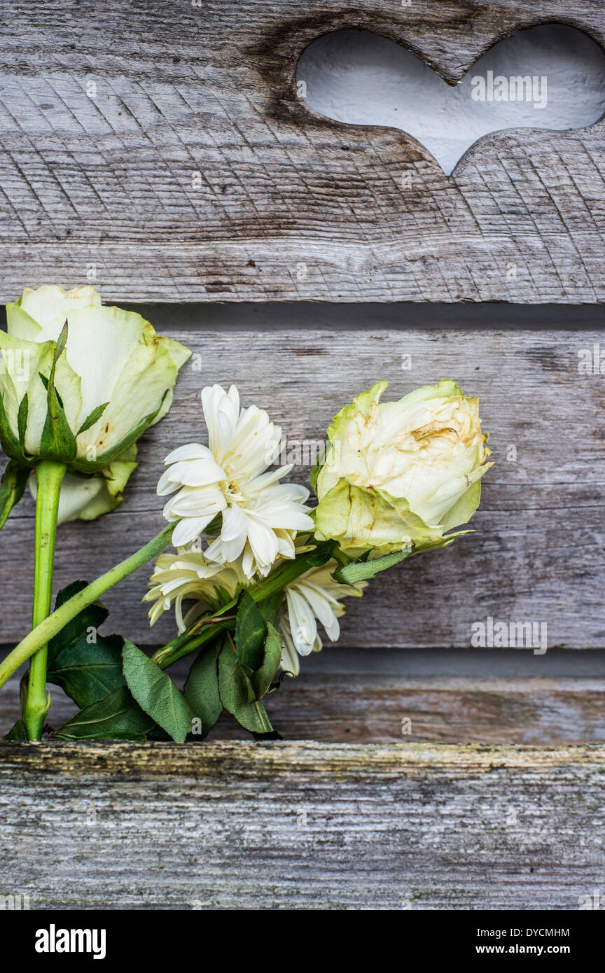 Stillleben mit weißen Blüten in einer Holzkiste Stockfoto