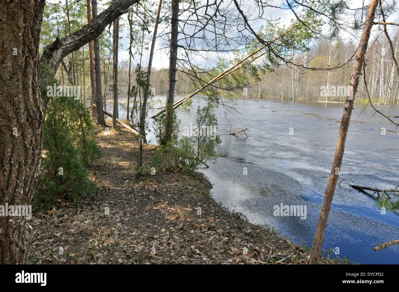 Können Sie die Landschaft. Fluss PRA, der Nationalpark "Meschera" in der Region Rjasan, Russland. Stockfoto