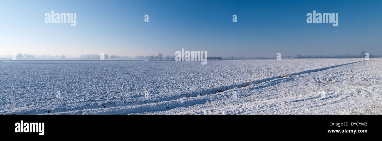 schlichte Mantua, Italien - 8. Dezember 2012: Bilder von landwirtschaftlich genutzten Flächen im Winter Stockfoto