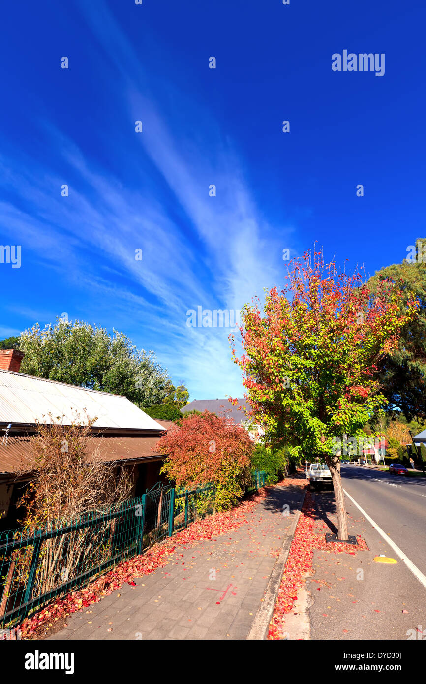 alte Blätter Hütte Wanderweg Tor Haupt Straße Clarendon Adelaide Hills South Australia im Herbst Blatt Stockfoto
