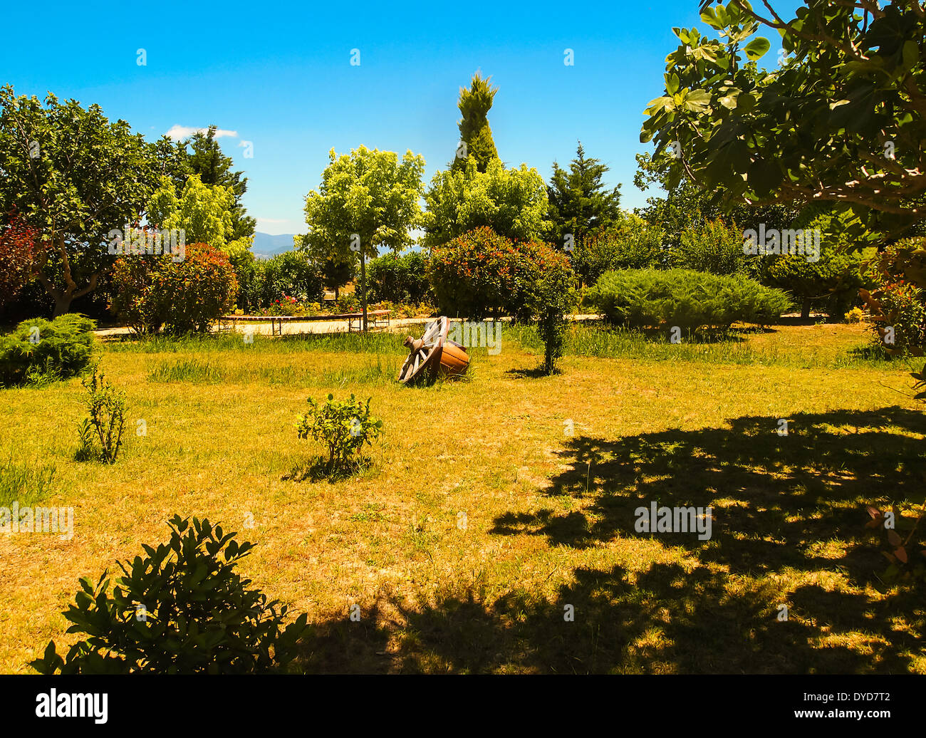 Ein sonniger Garten Szene im Sommer Stockfoto