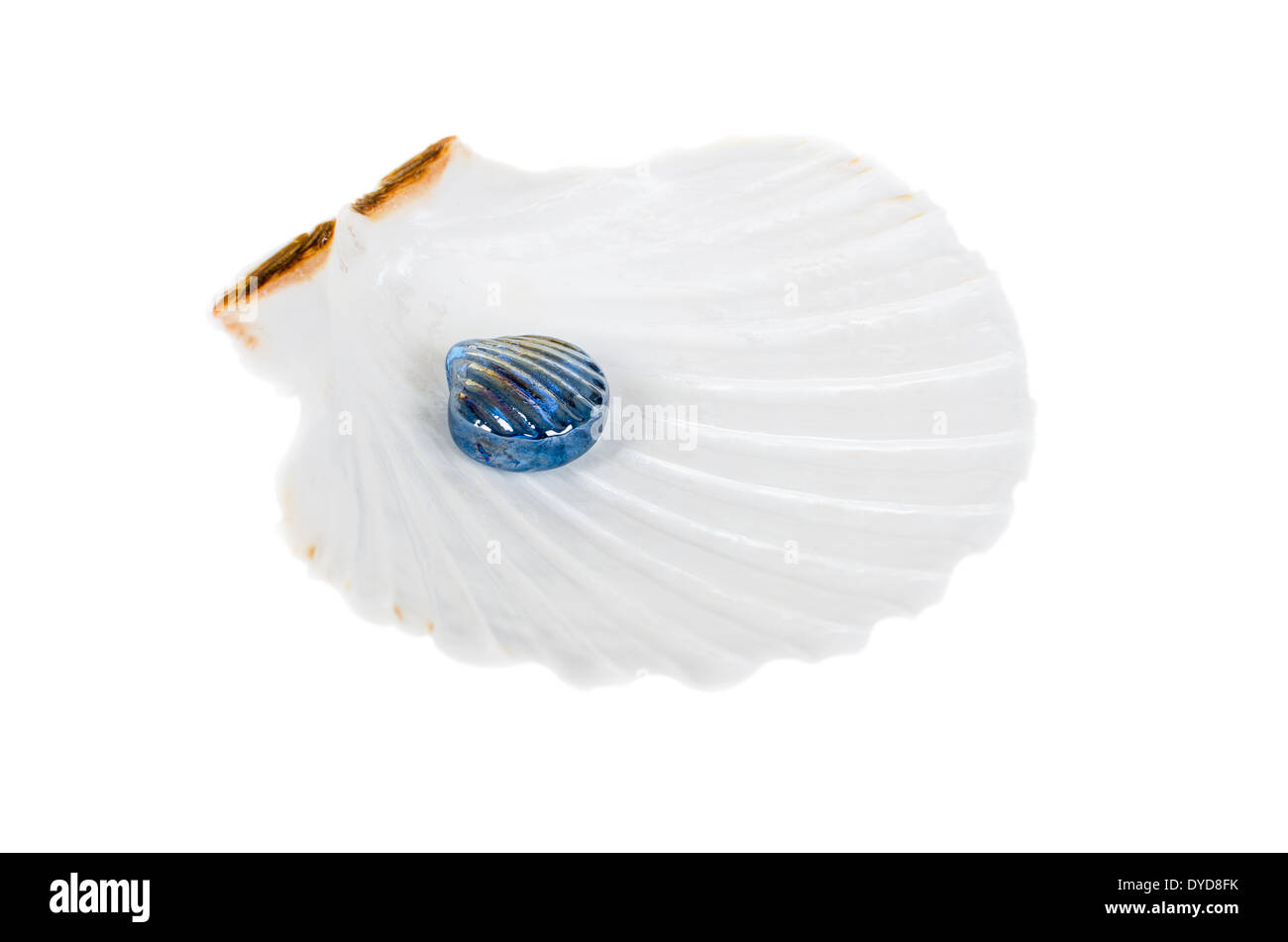 Großes Glas Perle im Ozean Schale isoliert auf weißem Hintergrund Stockfoto