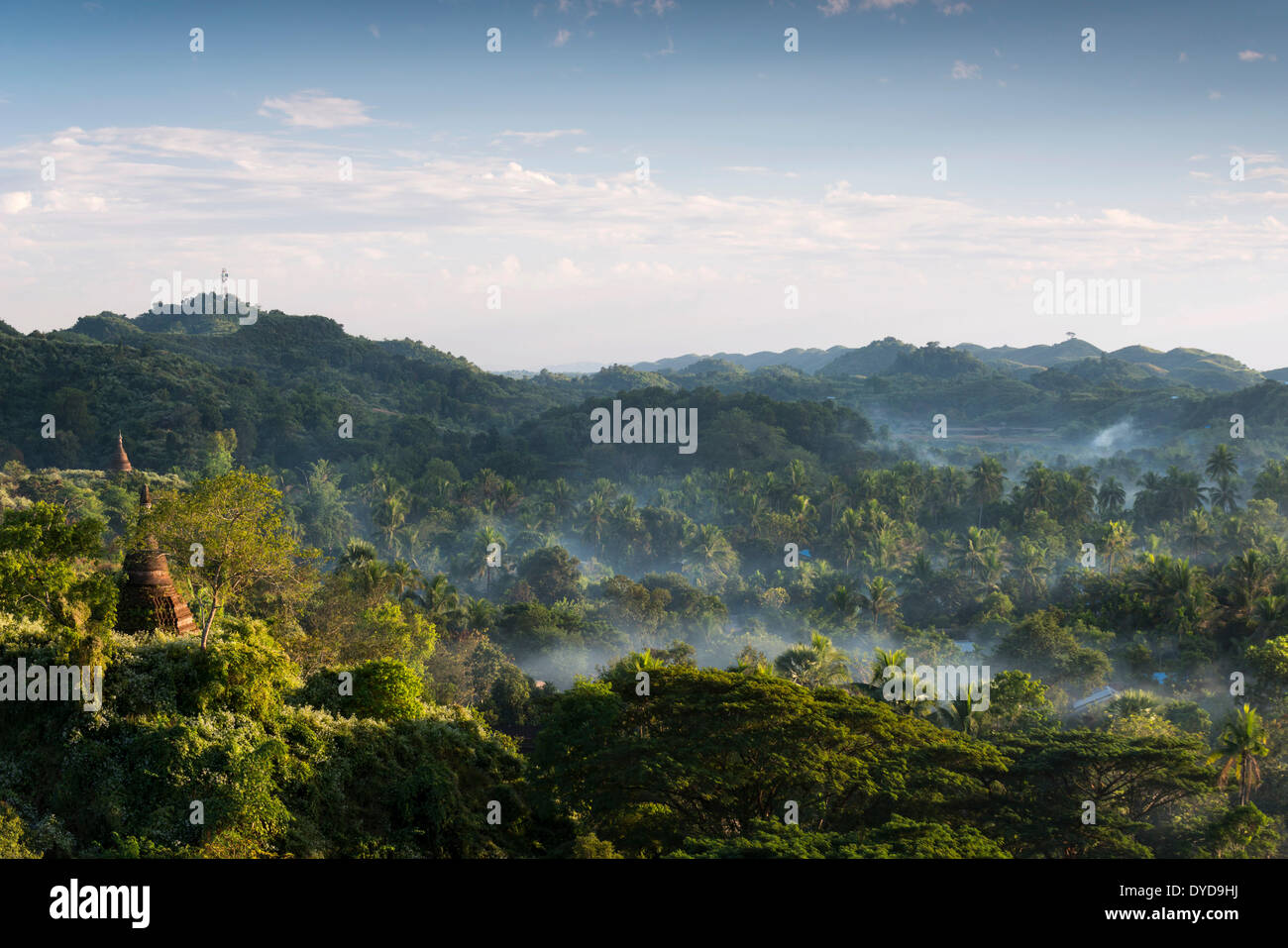 Pagoden umgeben von Bäumen, im Nebel, Mrauk U, Sittwe District, Rakhine State in Myanmar Stockfoto