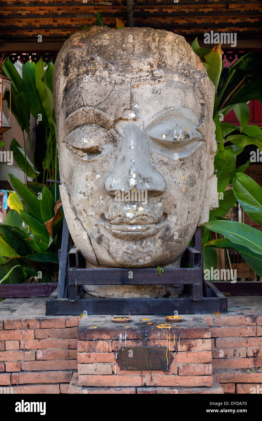 Buddha-Kopf, Wat Jedlin, Chiang Mai, Nord-Thailand, Thailand Stockfoto