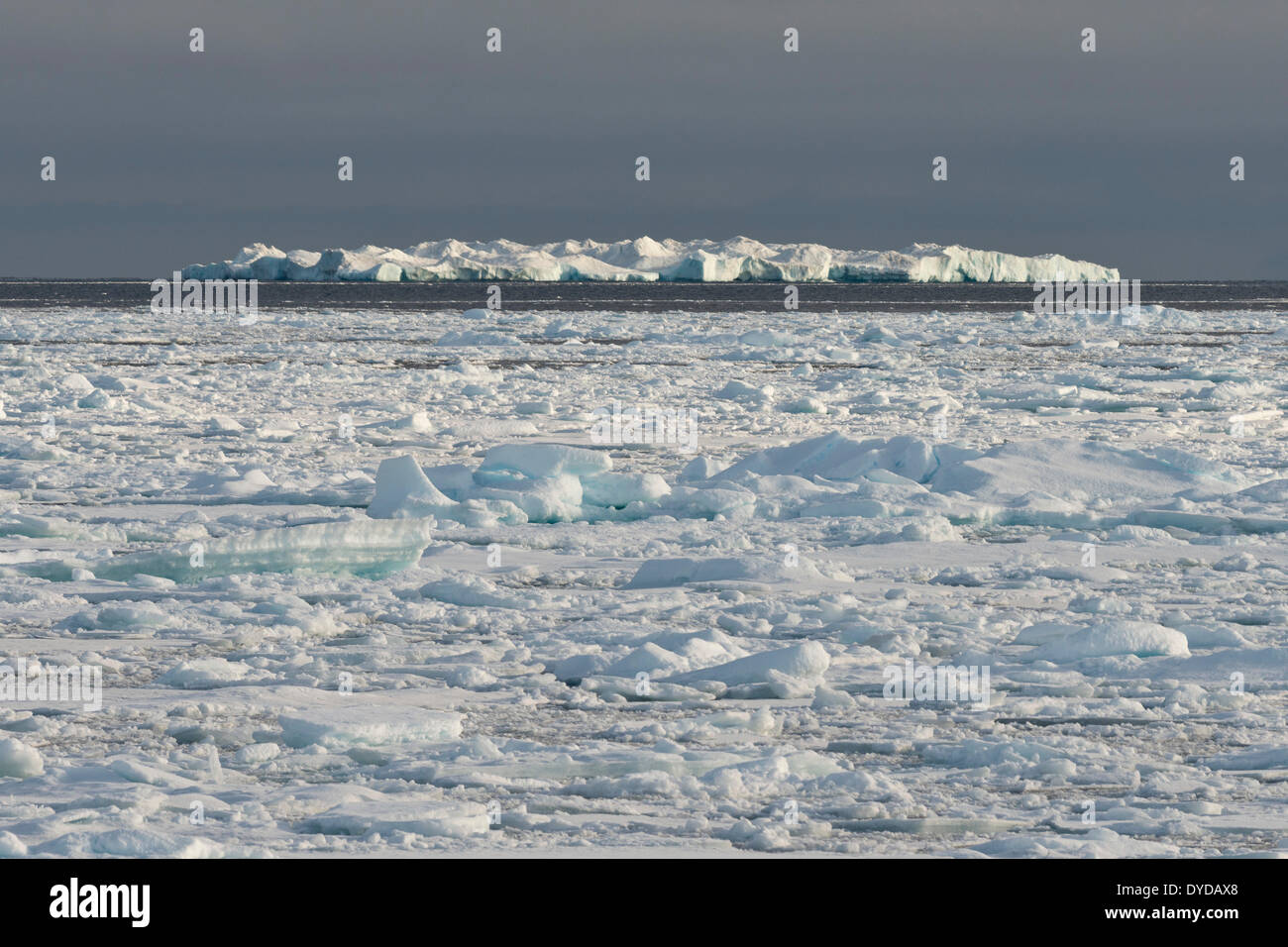 Eisberg, Rand des Packeises, Nordpolarmeer, Spitzbergen Insel, Spitzbergen, Svalbard und Jan Mayen, Norwegen Stockfoto