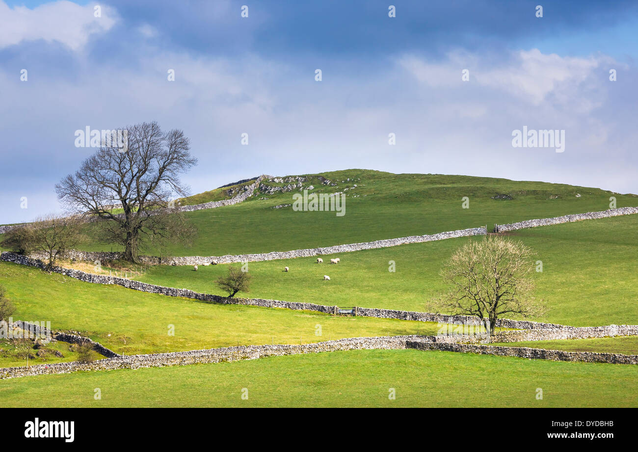 Eine hügelige Landschaft am Rande des Derbyshire Peak District. Stockfoto