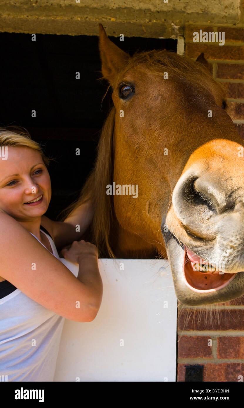 Junge Frau macht einen Wirbel eines Pferdes im Rettungszentrum. Stockfoto