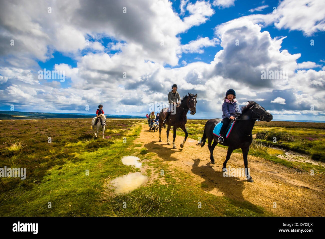 Reiter und Wanderer auf einer Strecke über den North York Moors. Stockfoto