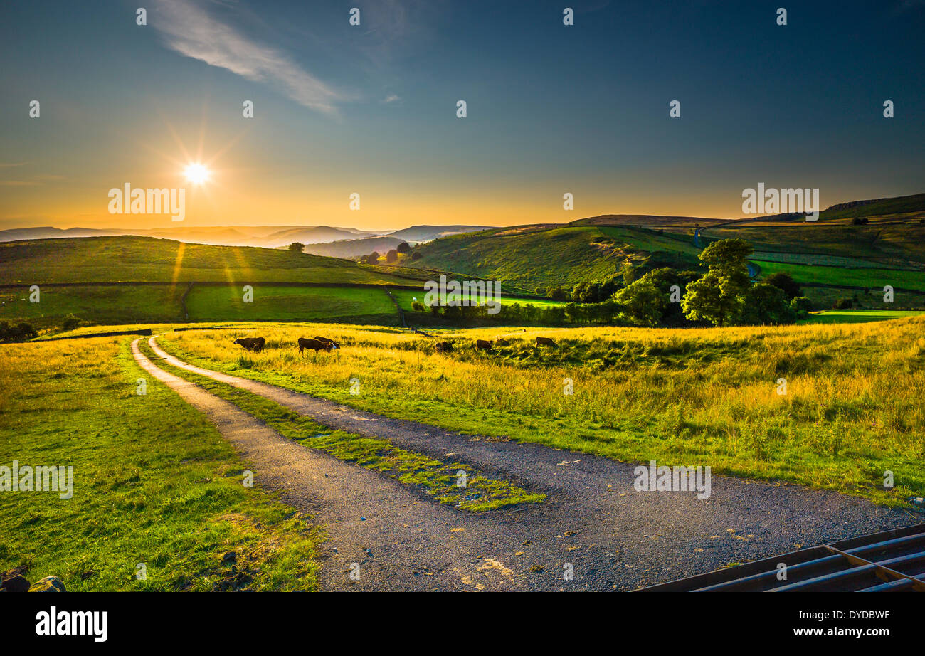 Am späten Abend Blick auf die hügelige Landschaft im Peak District. Stockfoto