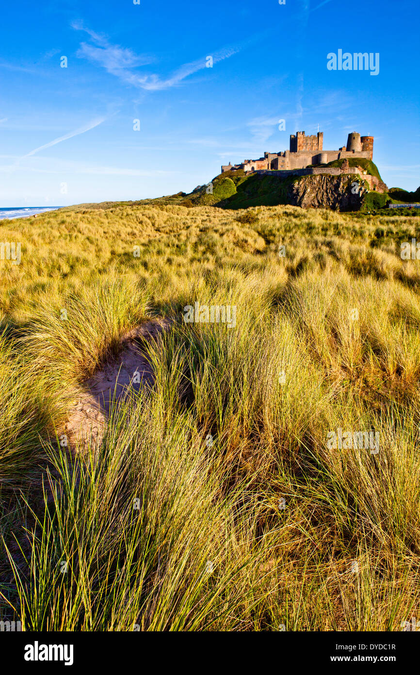 Bamburgh Castle erhebt sich über das Meer und die Dünen. Stockfoto