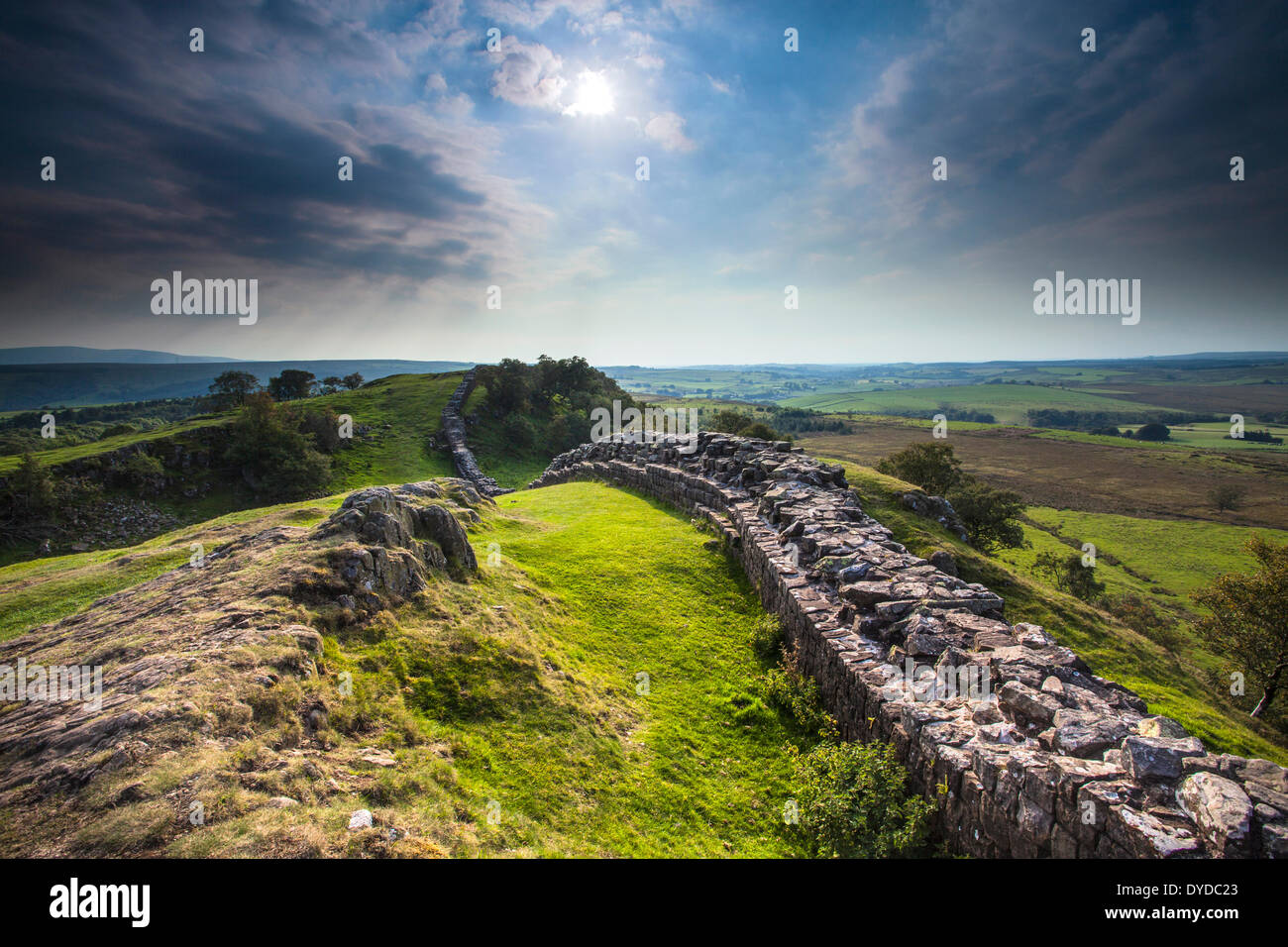 Der Hadrianswall bei Walltown Klippen in Northumberland. Stockfoto