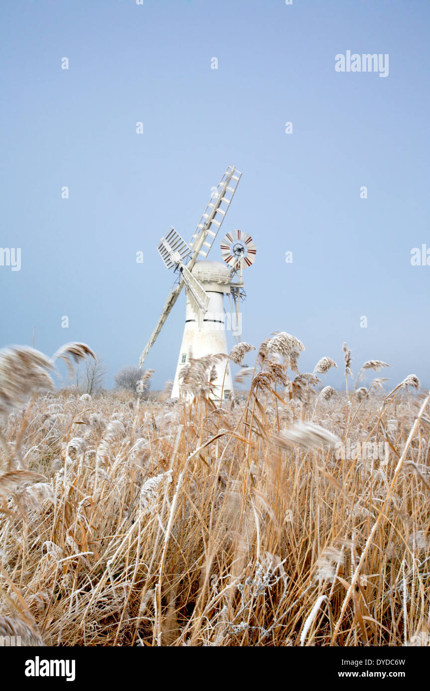 Thurne Windmühle auf einem gefrorenen Tag nach einem Winter Rauhreif auf den Norfolk Broads. Stockfoto