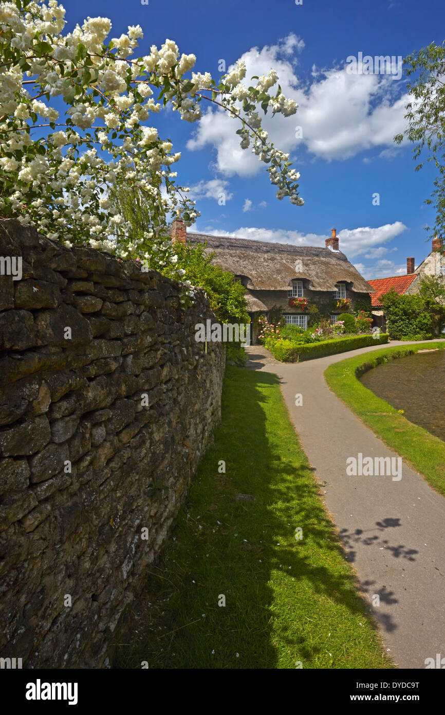 Eine strohgedeckte Hütte am Thornton-le-Dale. Stockfoto