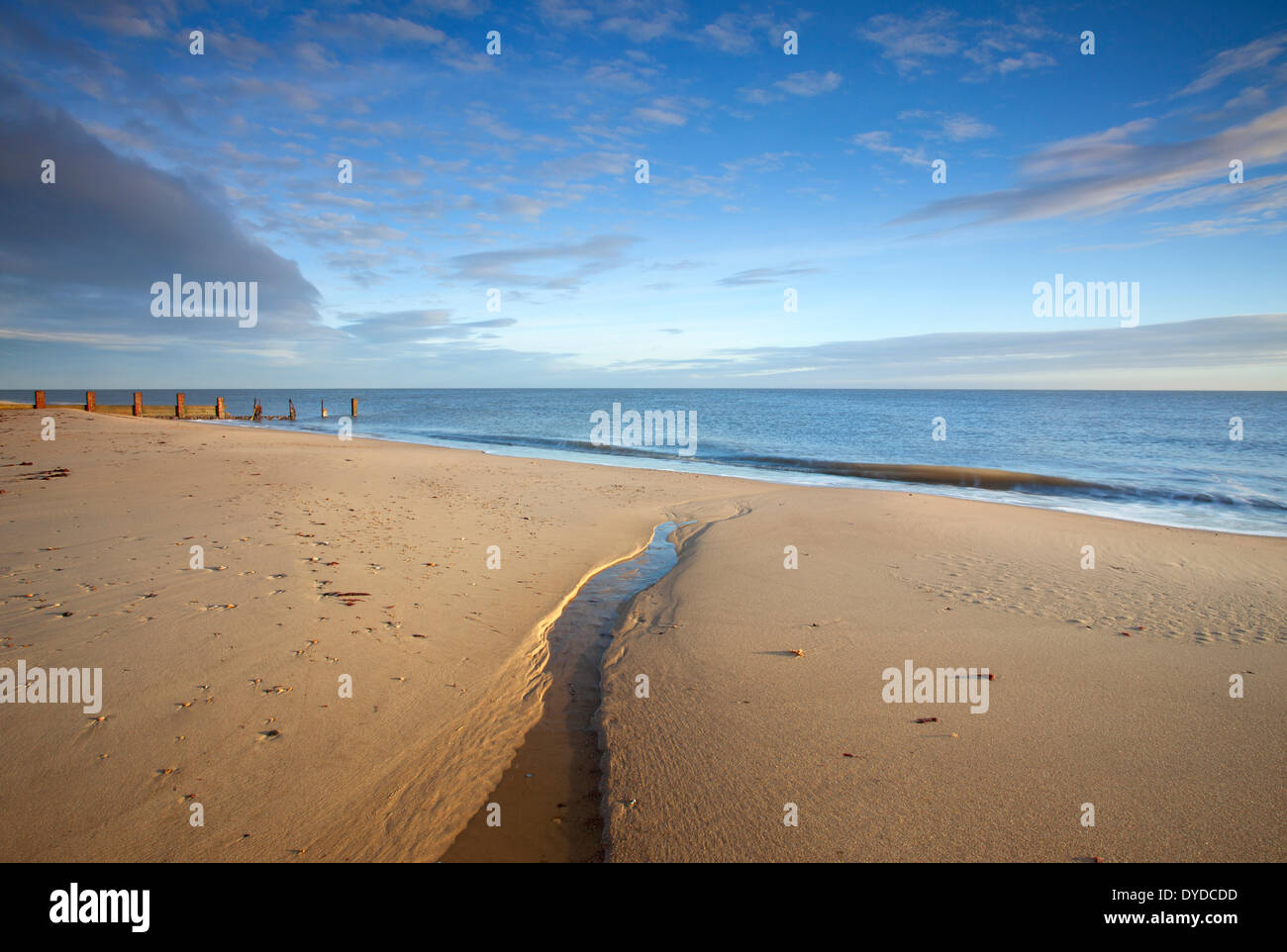 Die Norfolk-Küste bei Horsey. Stockfoto