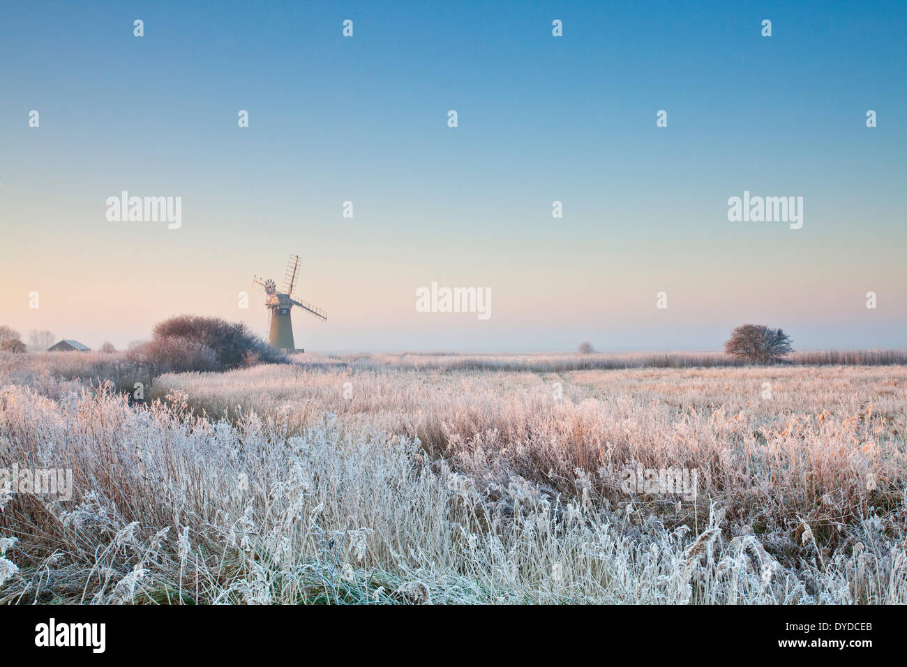 St Benets Entwässerung Mühle an der ersten Ampel nach einem Winter Rauhreif auf den Norfolk Broads. Stockfoto