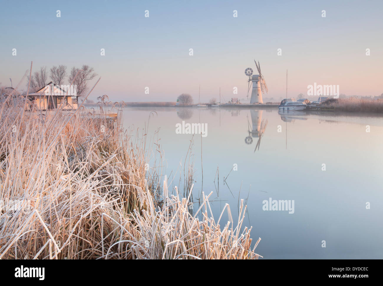 Thurne Mill spiegelt sich in den Fluß Thurne nach einer Übernachtung Winterfrost. Stockfoto