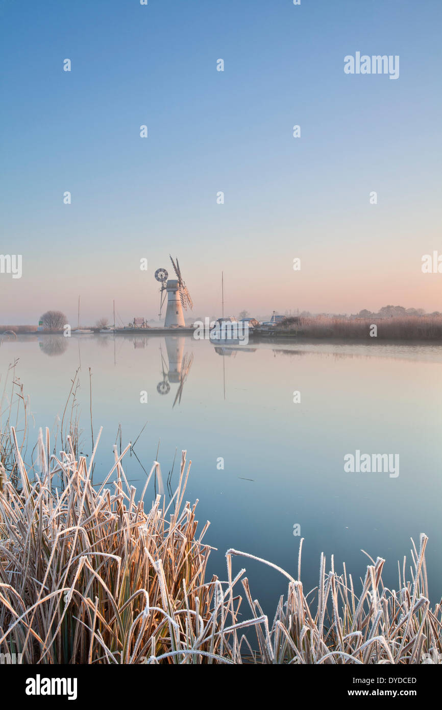 Thurne Mill spiegelt sich in den Fluß Thurne nach einer Übernachtung Winterfrost. Stockfoto