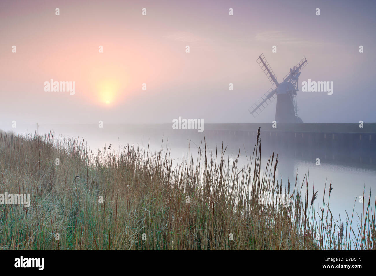 Ashtree Bauernhof Mühle bei Sonnenaufgang auf den Norfolk Broads. Stockfoto