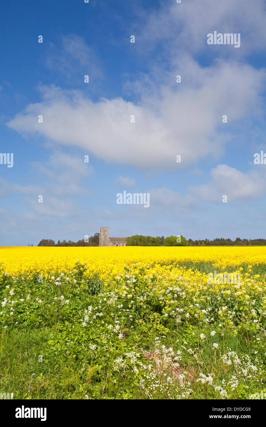 Osten Ruston Kirche auf dem Lande in Norfolk. Stockfoto