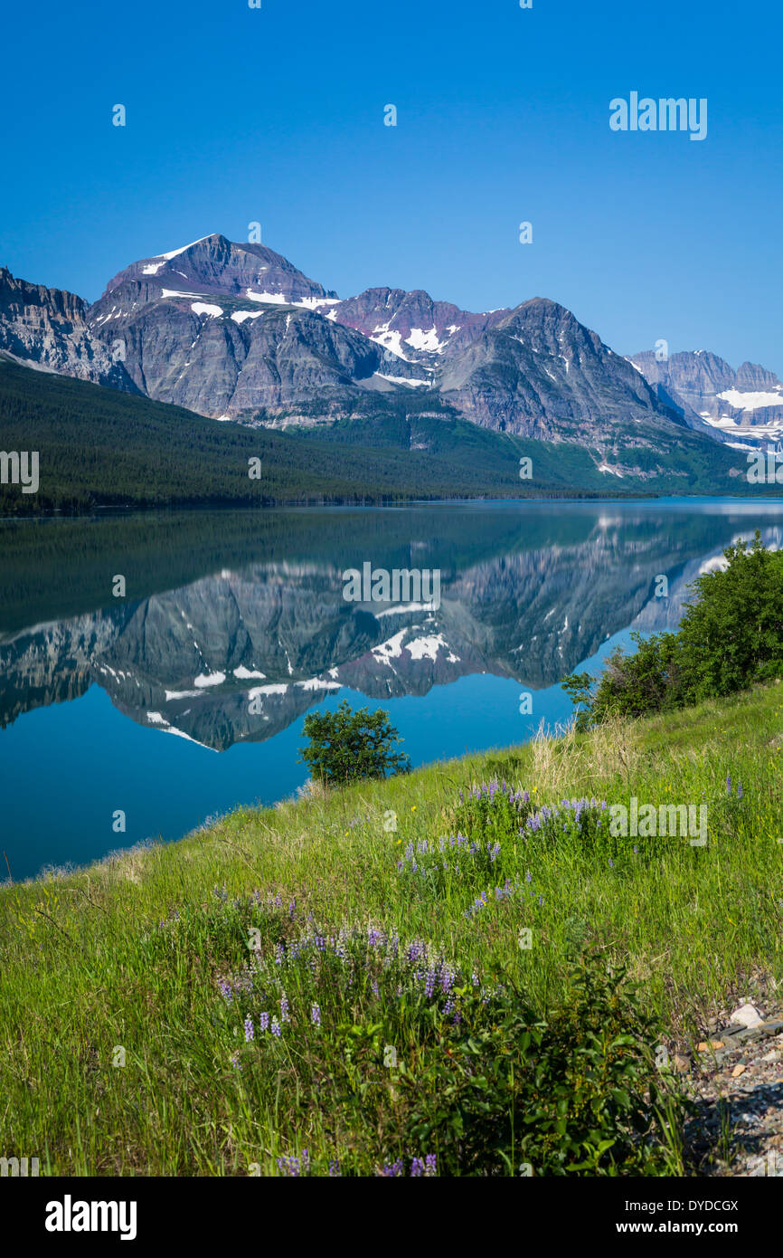 Berg-Reflexionen in einem ruhigen See Sherburne im Glacier National Park, Montana, USA. Stockfoto
